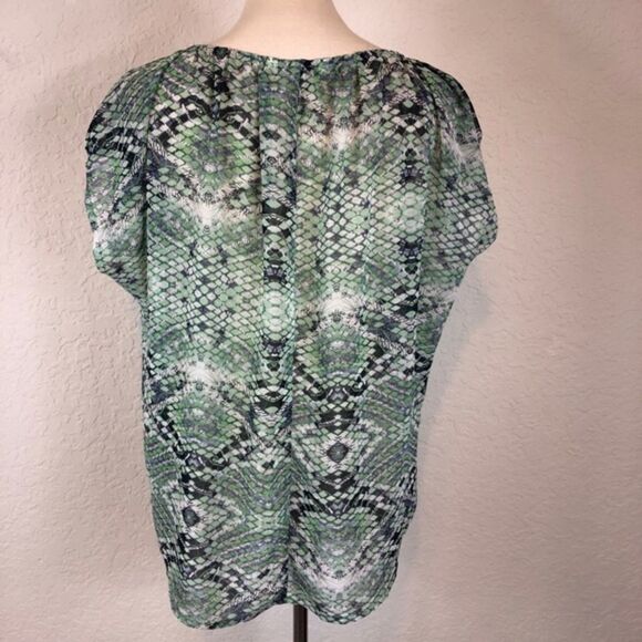 CAbi Women’s Blue/Green Print Sleeveless Blouse Top Shirt 746 Sz M - Picture 6 of 13